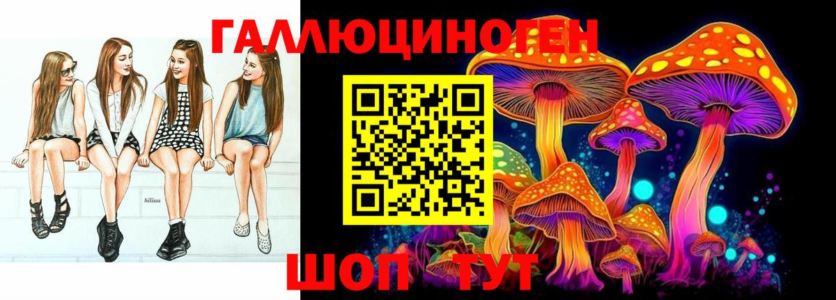 НБОМе Новокубанск