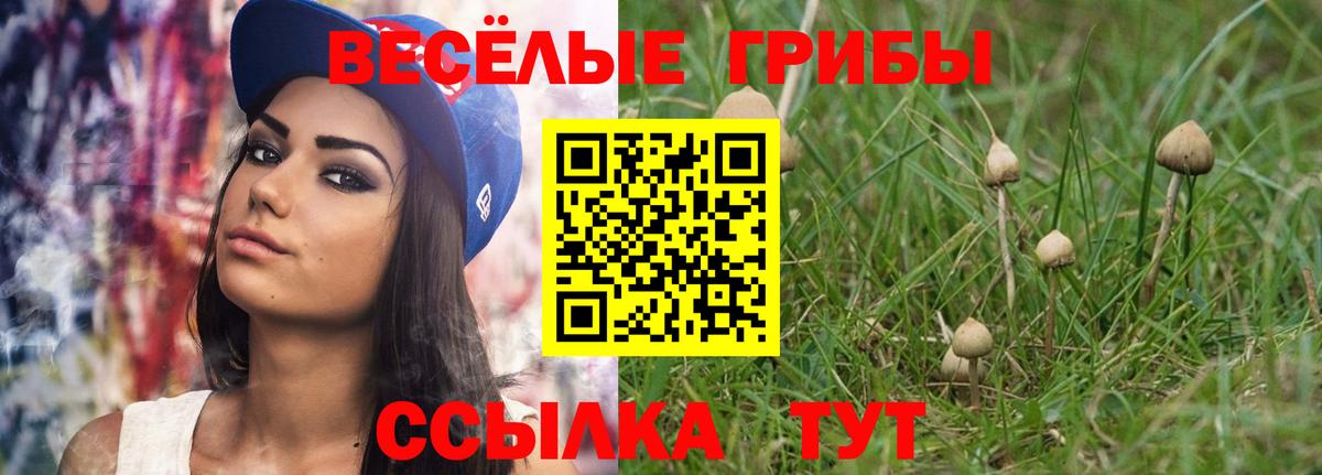 Новокубанск  Галлюциногенные грибы MAGIC MUSHROOMS  Вход с VPN 