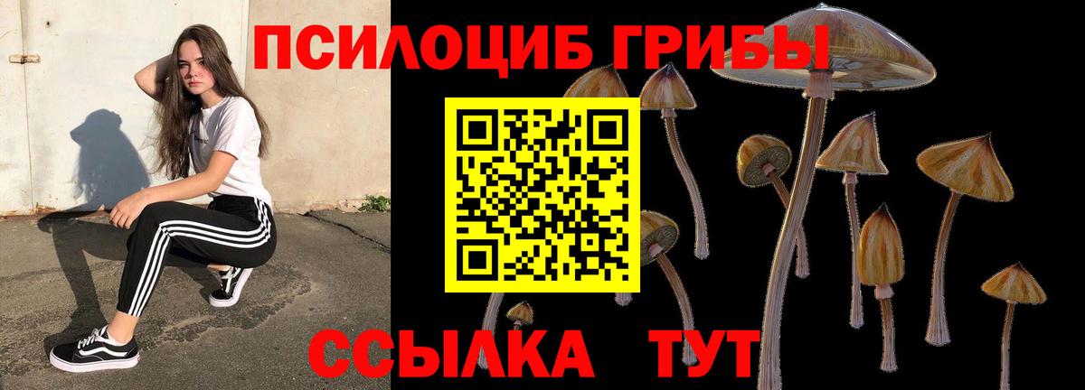 Псилоцибиновые грибы ЛСД Новокубанск